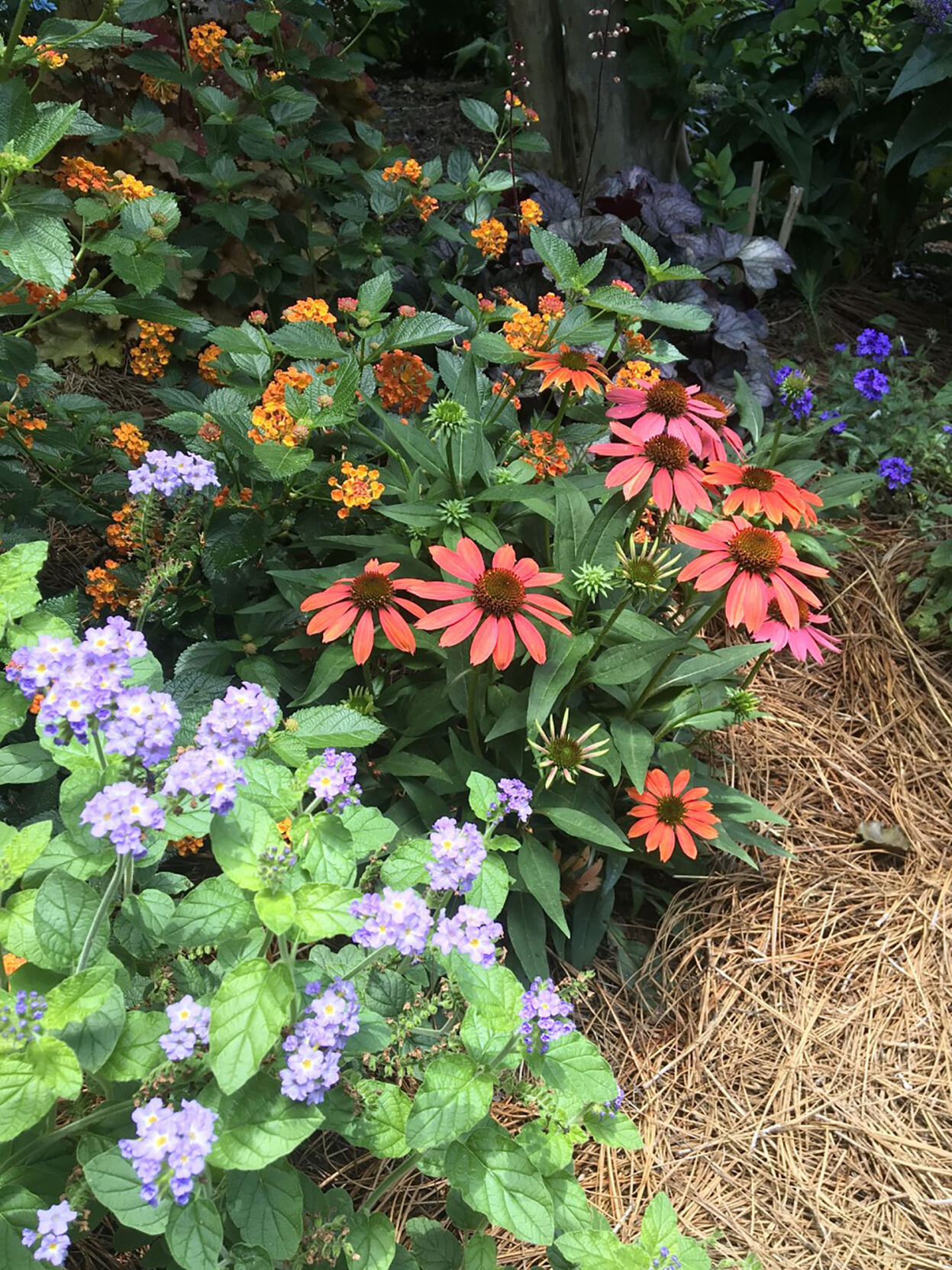 LIFE-HOME-ONGARDENING-6-MCT